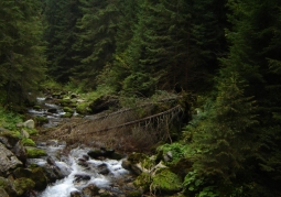 Kościeliski stream