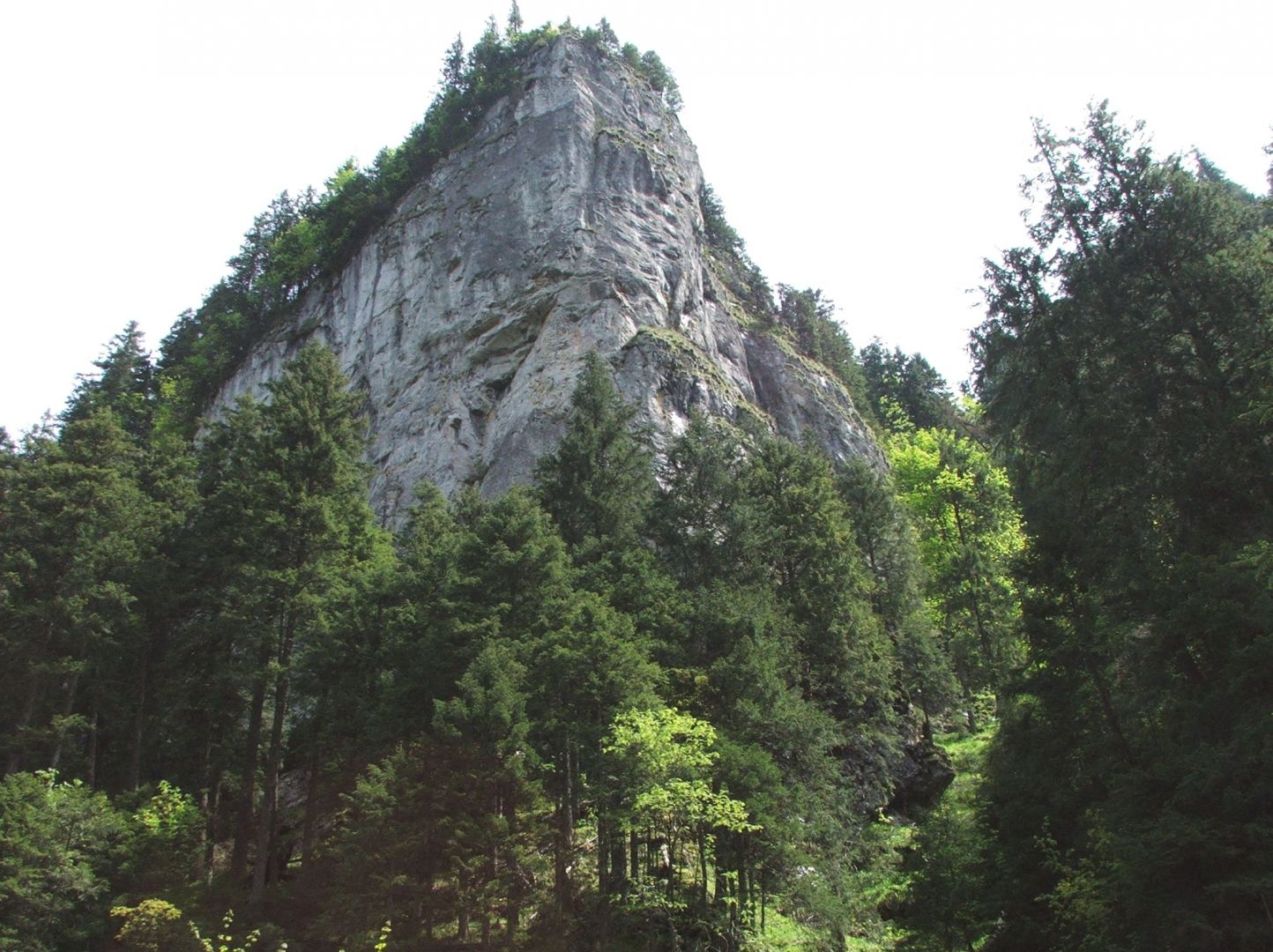 Limestone crags in the Kościeliska Valley