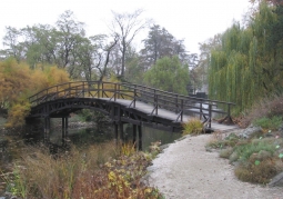 Bridge across the garden pond