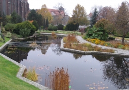 Ogród Botaniczny Uniwersytetu Wrocławskiego - Ostrów Tumski