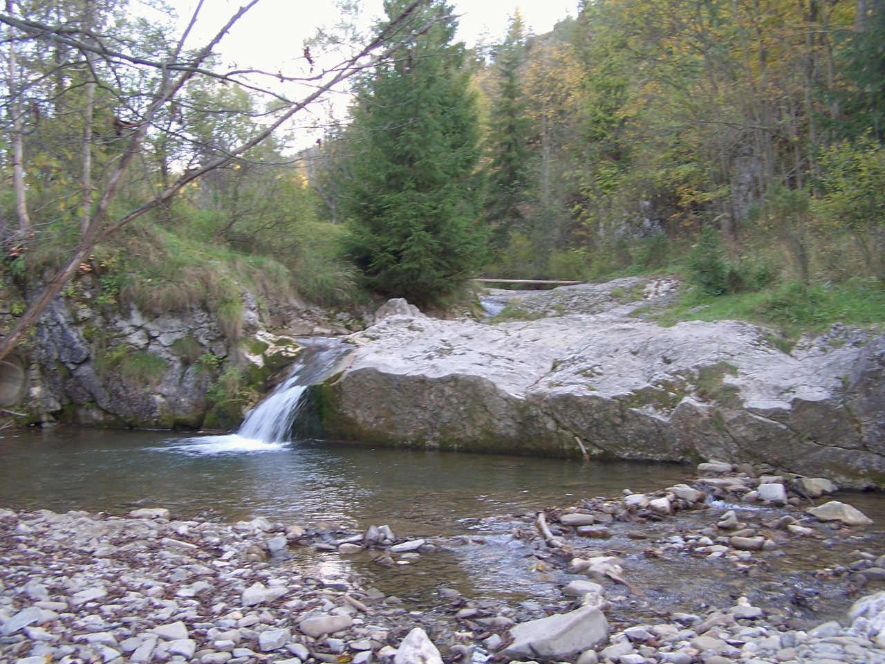 Biała Woda Nature Reserve