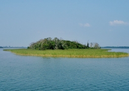 Rezerwat przyrody Jezioro Dobskie 