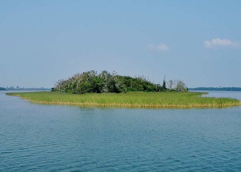 Rezerwat przyrody Jezioro Dobskie 