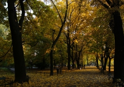 Planty between ul. Franciszkańska and Wawel.