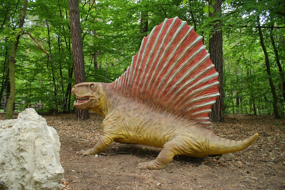 Park Dinozaurów JuraPark