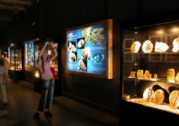 Museum of the Earth Karol Sabath