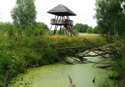 Lookout tower