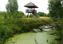 Wieża widokowa na ścieżce 'Obóz Powstańczy' - Poleski Park Narodowy