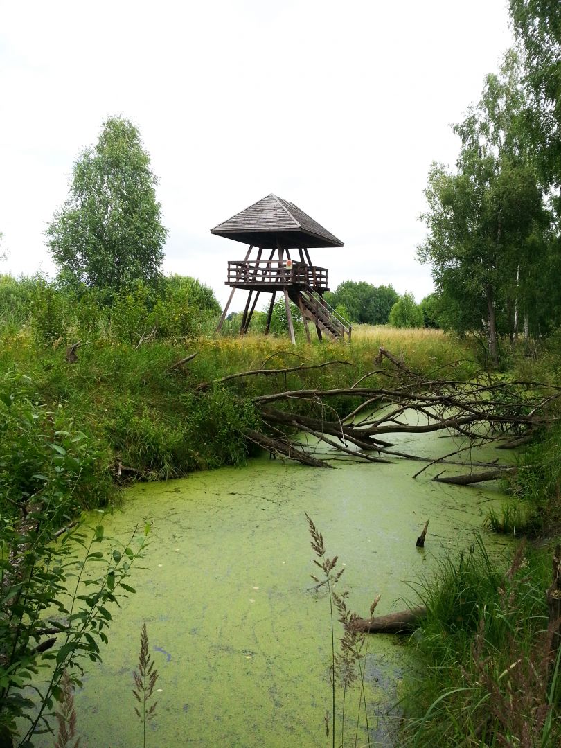 Observation tower on the path 'Powstańczyk Camp'