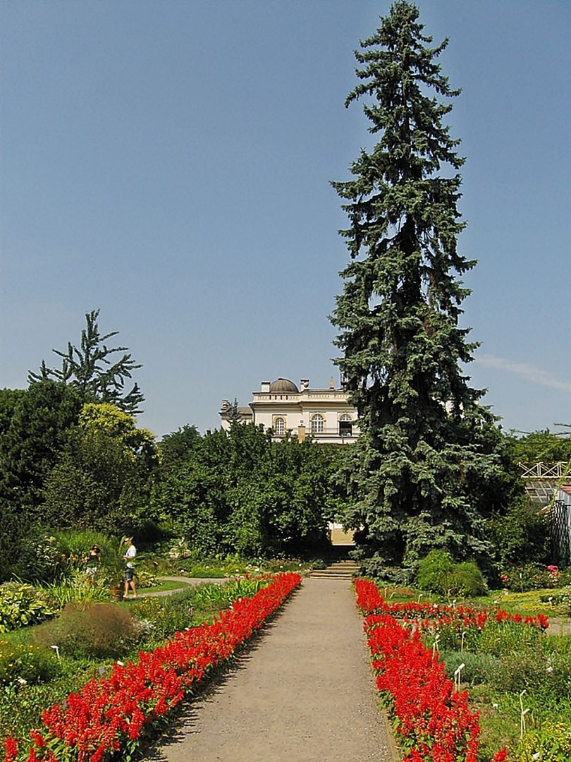 Botanical Garden of the Jagiellonian University