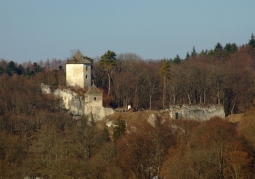 Ruiny zamku z oddali