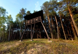 Observation tower on the edge of Durny Swamp - Polesie National Park