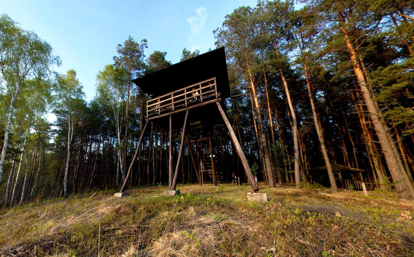 Observation tower on the edge of Durny Swamp