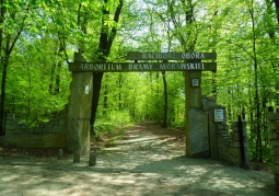 Arboretum Bramy Morawskiej - Racibórz