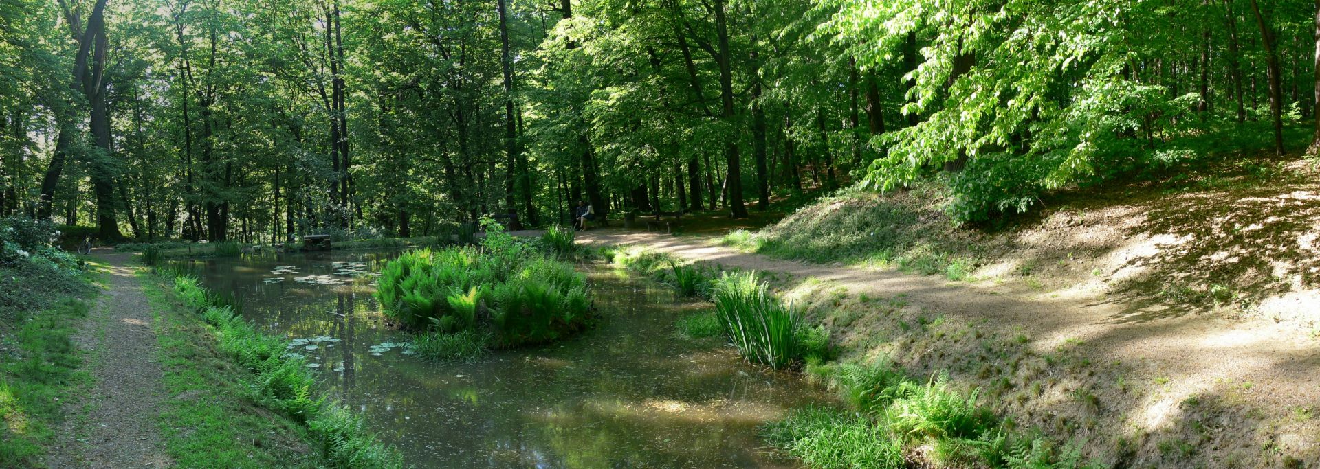 Arboretum Bramy Morawskiej