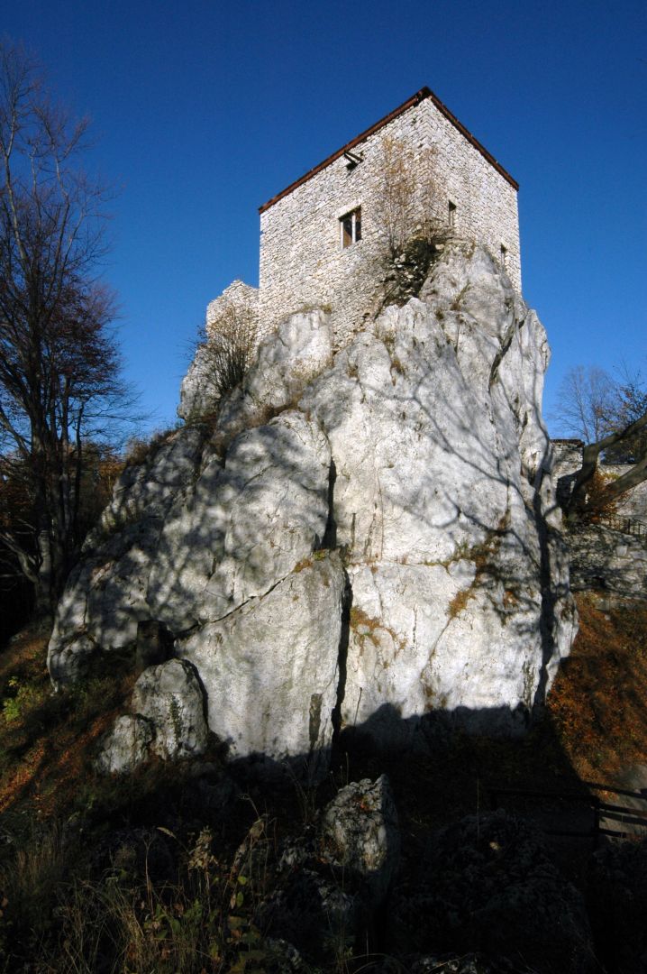 Ruins of Bąkowiec Castle