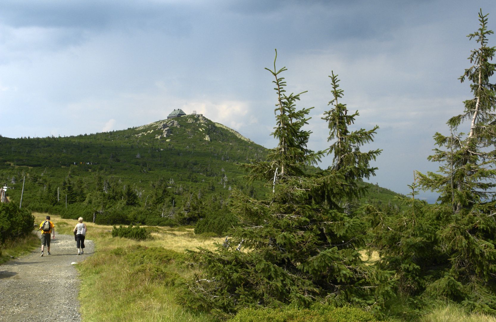 Szrenica massif in summer