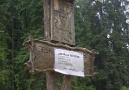 The trail leading to Mroźna Cave