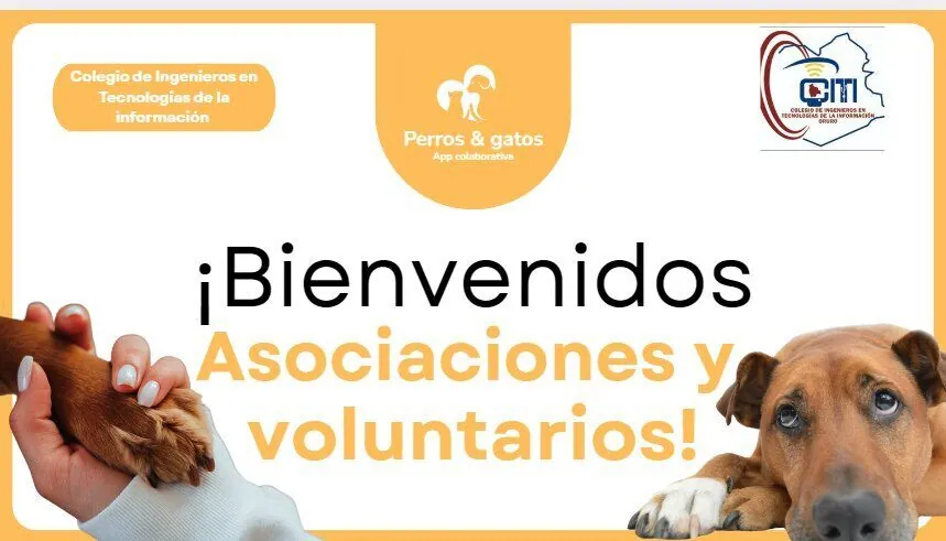 🐾 Reunión con asociaciones animalistas y voluntarios independientes