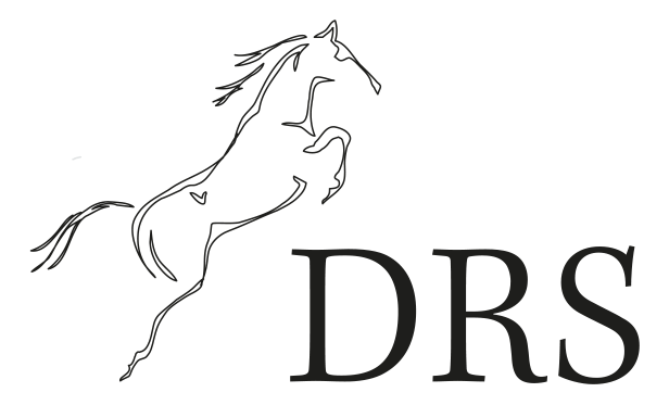 DRAMMEN RIDESKOLE