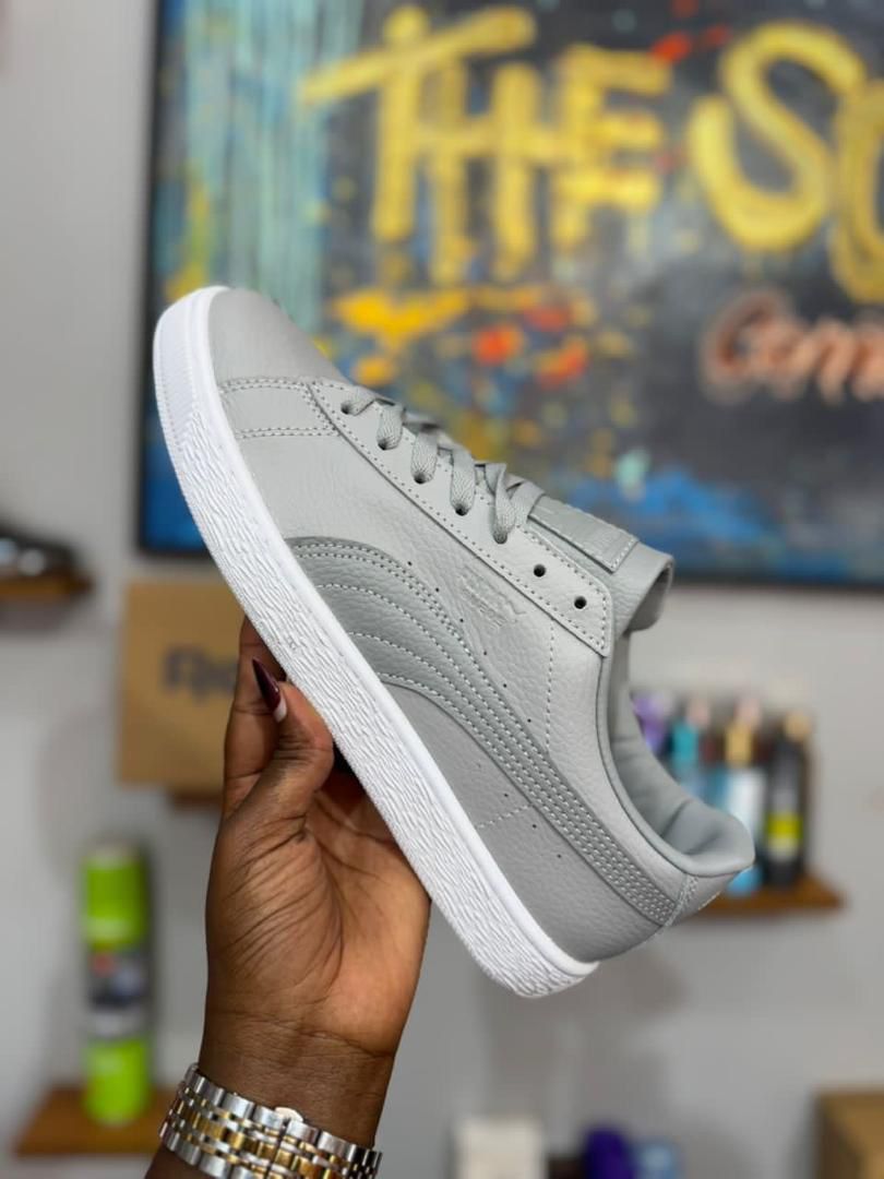 Puma Grey