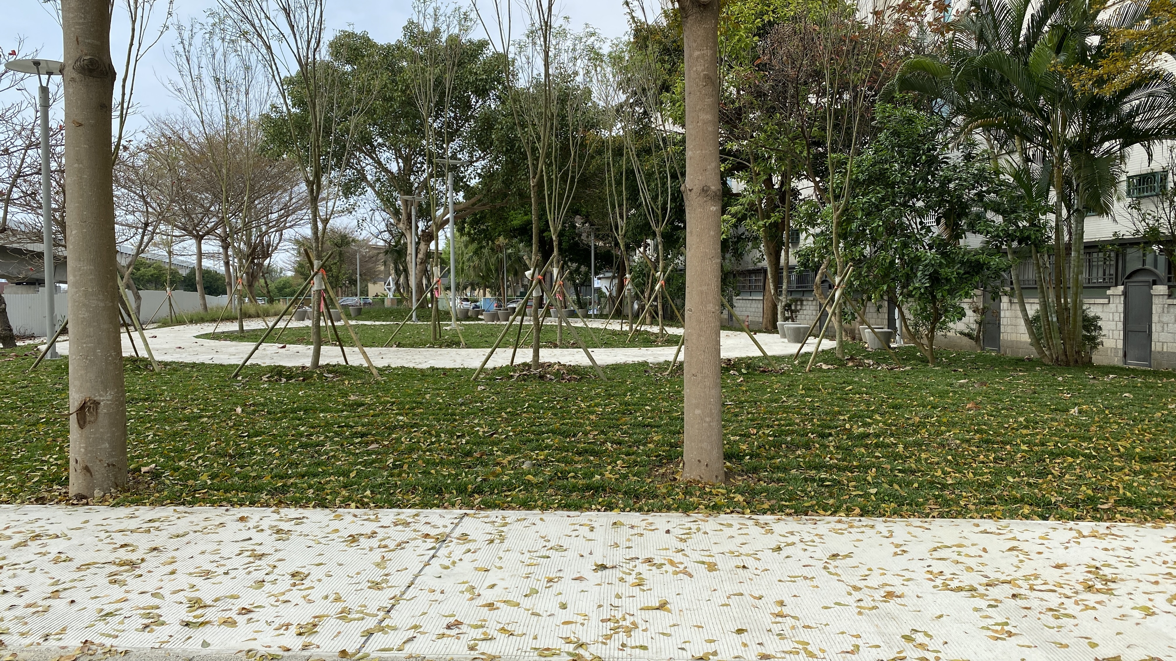 竹東鎮富榮自然花園公園