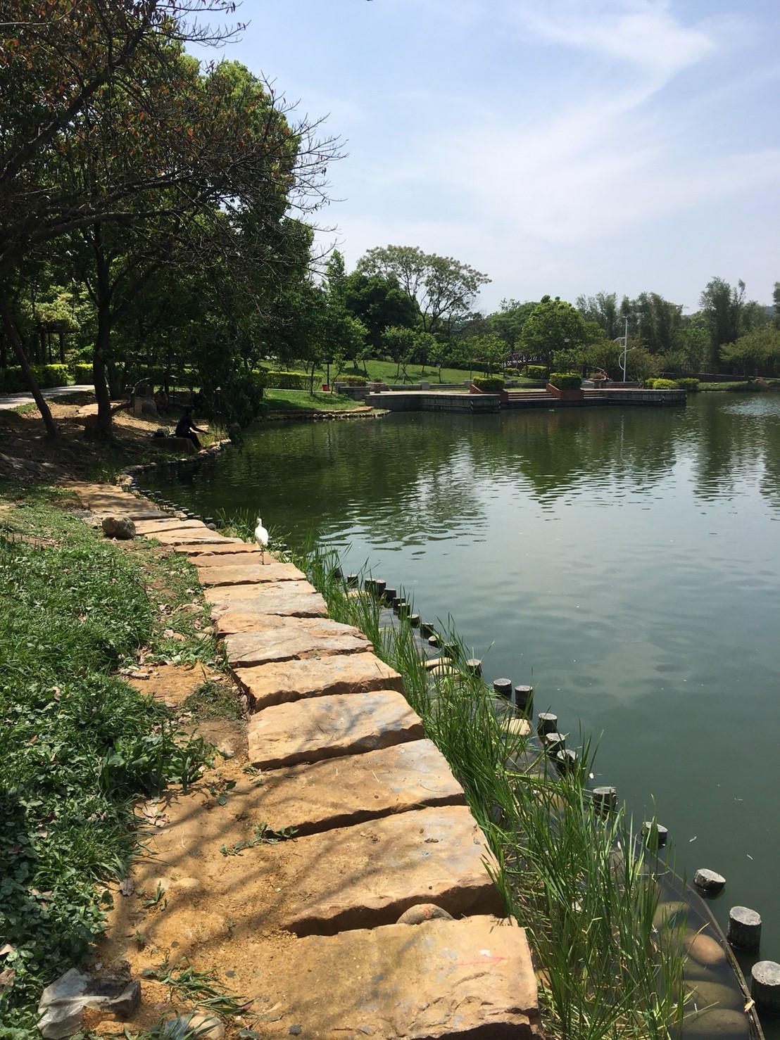 桃園市龍潭大池東岸水岸景觀改造工程