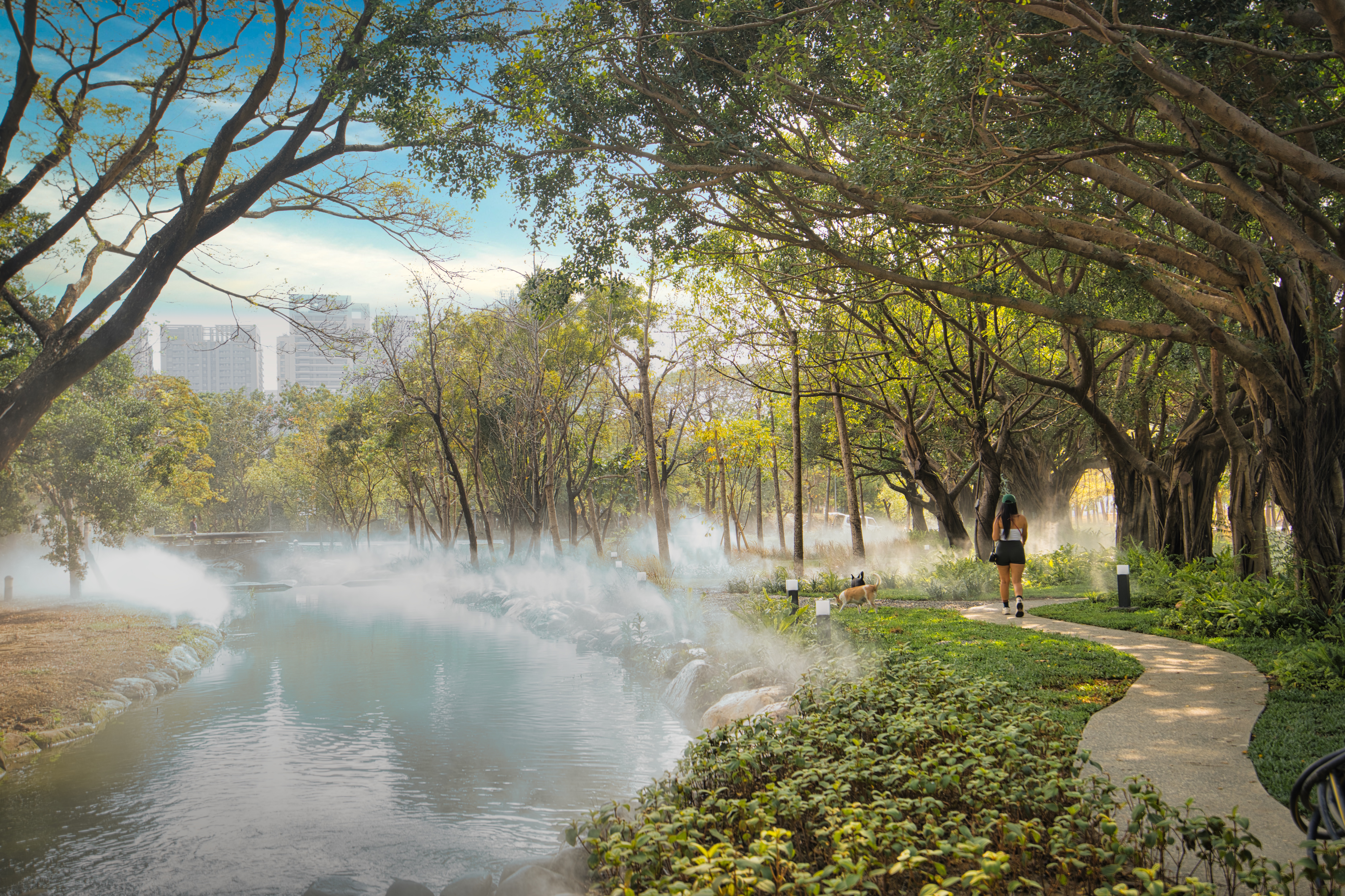 內惟自然迷霧森林 Natural Misty Forest