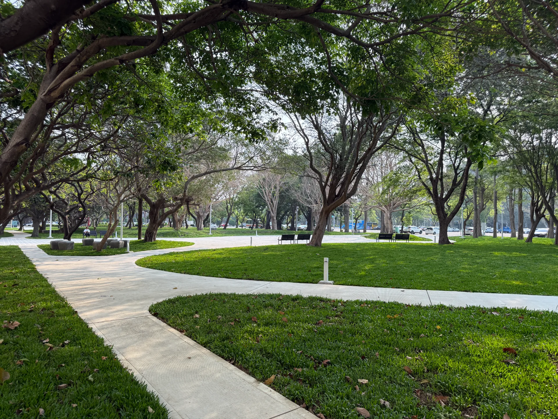 竹北市市西森林公園減量設計