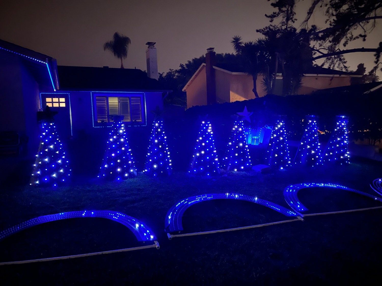 Lights on Aber, Christmas lights in San Diego, CA (photo 1)