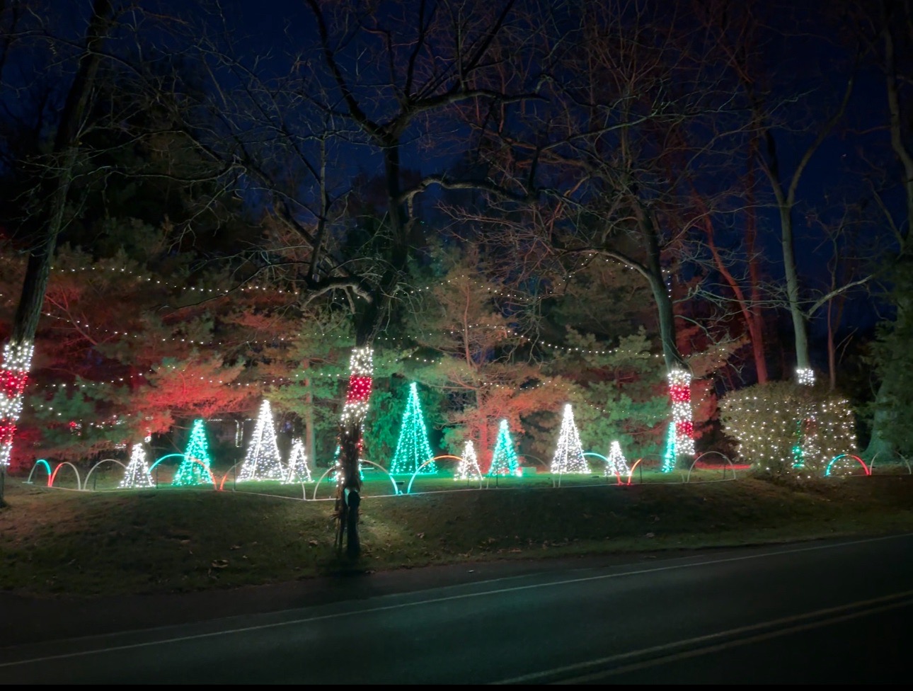 Black Walnut Christmas On The Mountain, Christmas lights in Reinholds, PA (photo 4)