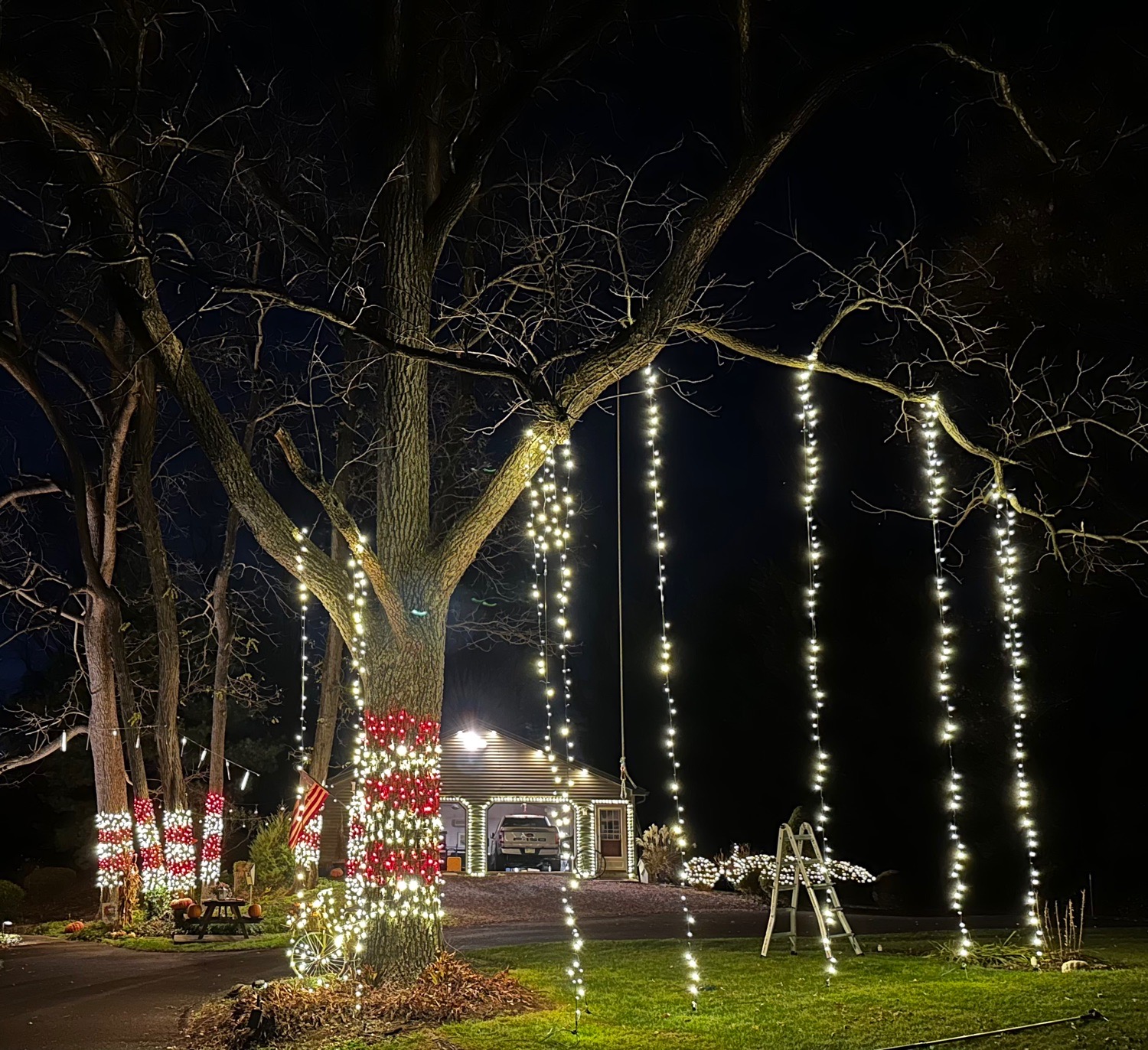Black Walnut Christmas On The Mountain, Christmas lights in Reinholds, PA (photo 3)