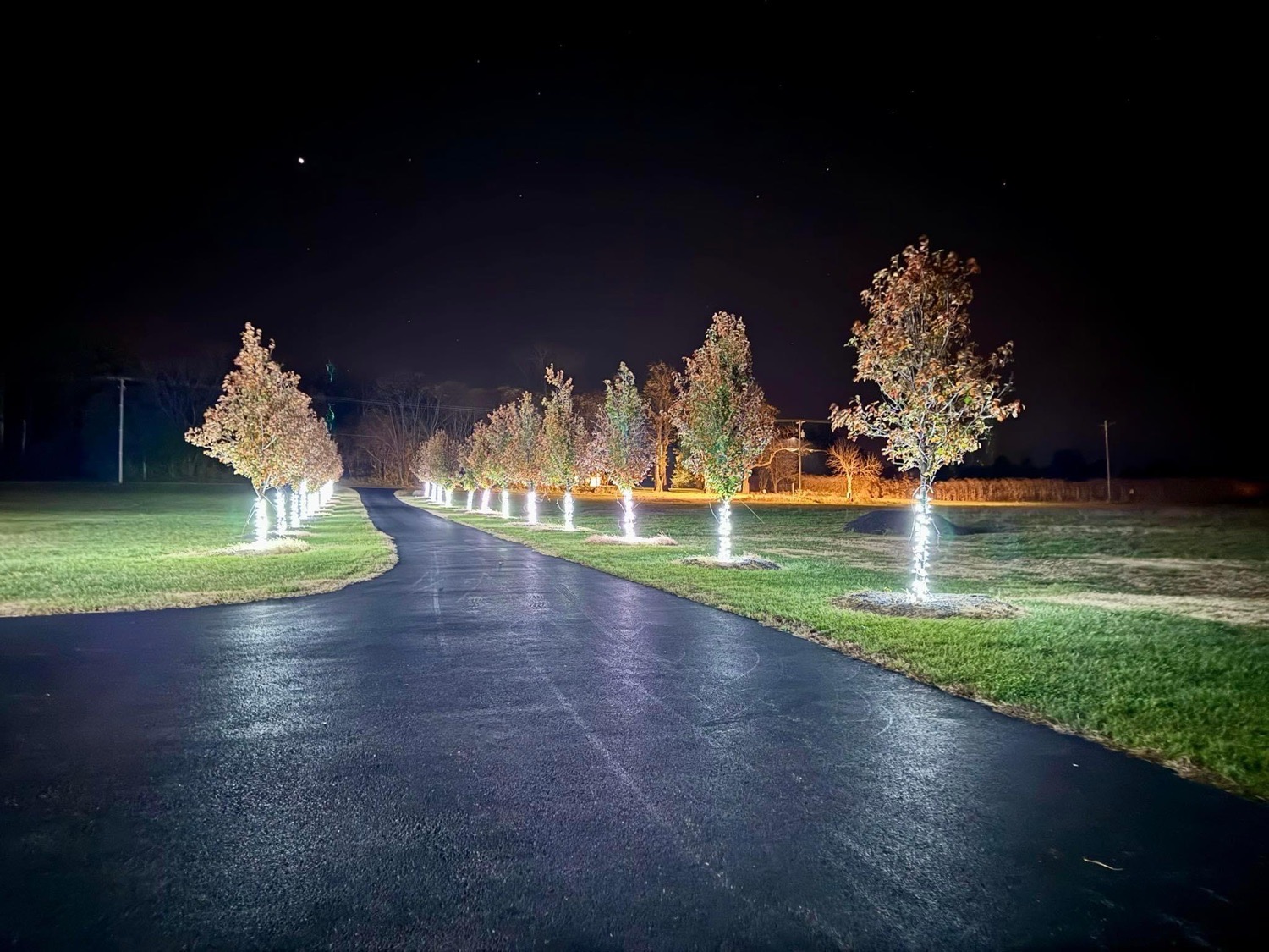 Classic Farmhouse Christmas, Christmas lights in Marion, IL (photo 2)