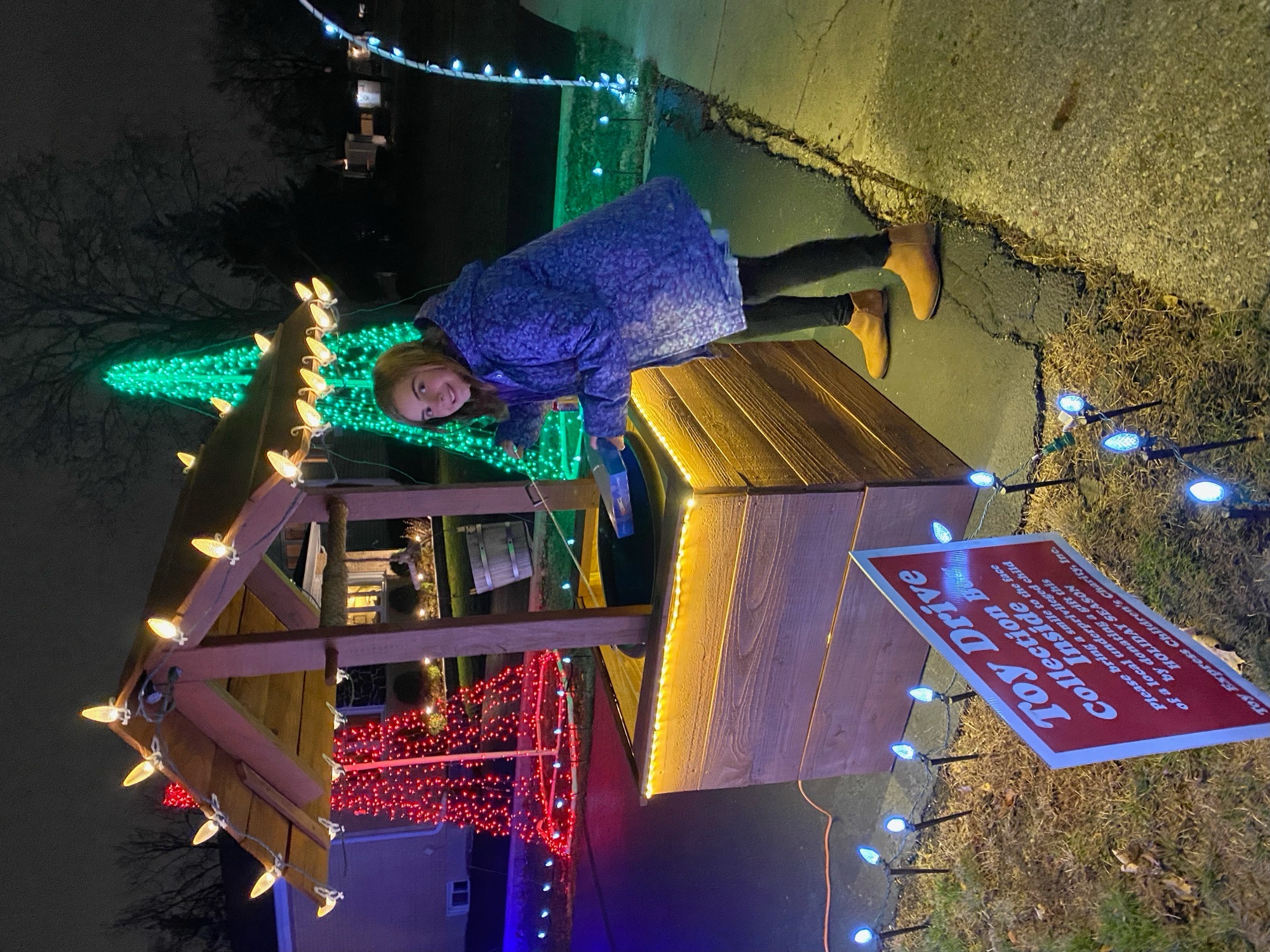 Fillipp Family Exterior Illuminations, Christmas lights in Villa Park, IL (photo 2)