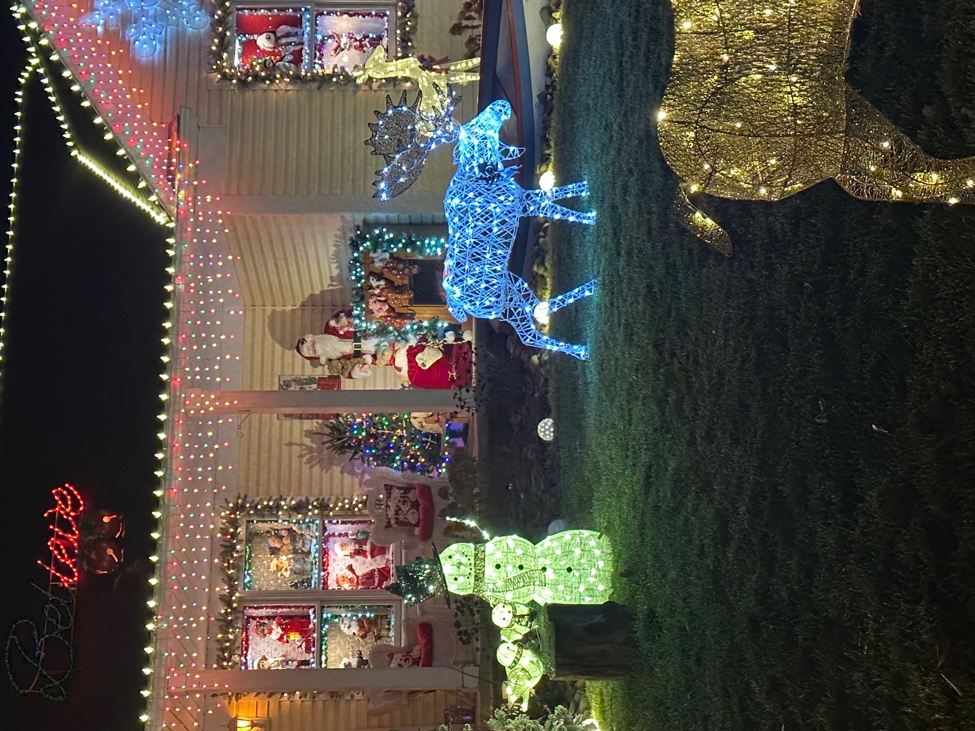 A Hallmark Christmas, Christmas lights in Seville, OH (photo 3)