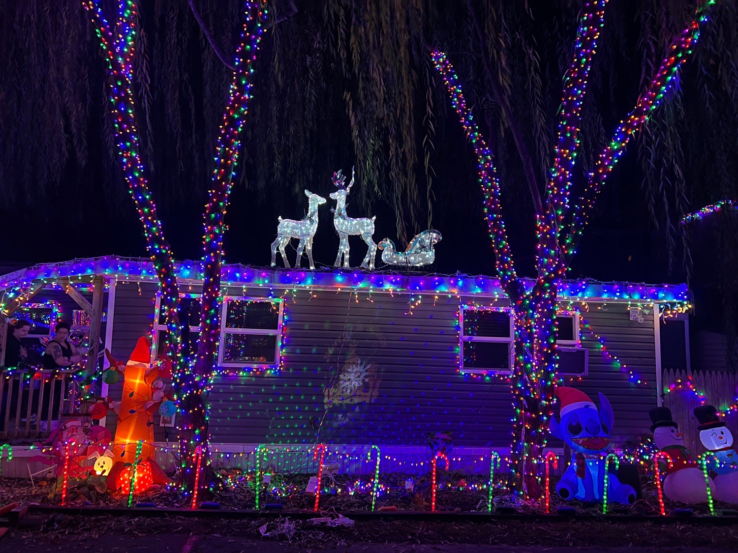 Michener’s Christmas Wonderland, Christmas lights in Wrightsville, PA (photo 4)