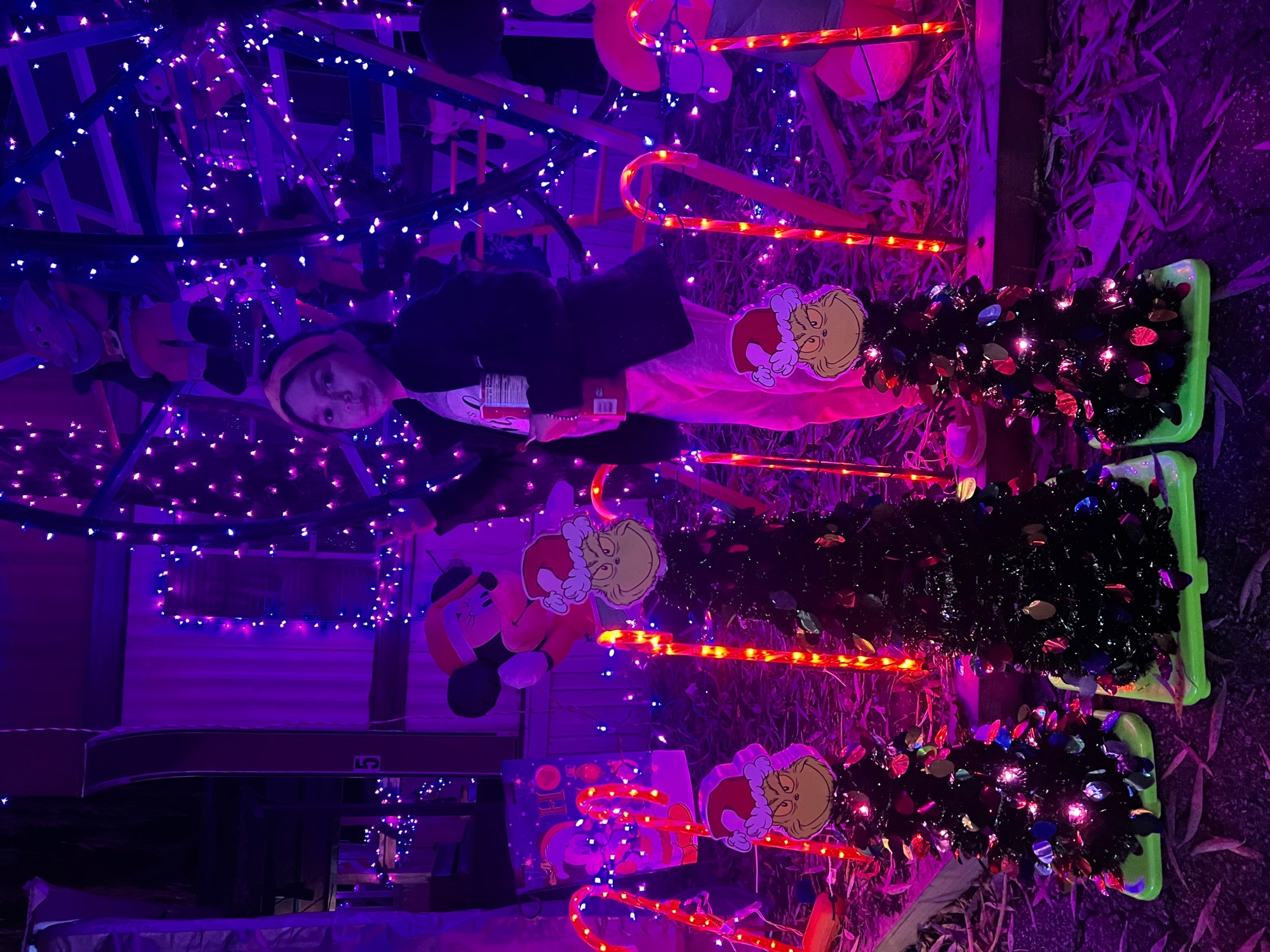 Michener’s Christmas Wonderland, Christmas lights in Wrightsville, PA (photo 5)