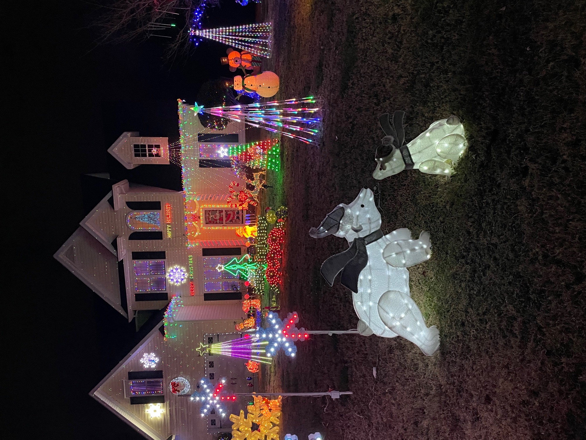 Lights at the Landings, Christmas Light Display, Christmas lights in Statesville, NC (photo 2)
