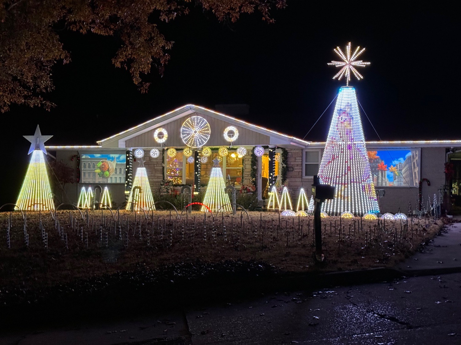 Oak Hills Lights, Christmas lights in Cape Girardeau, MO (photo 1)