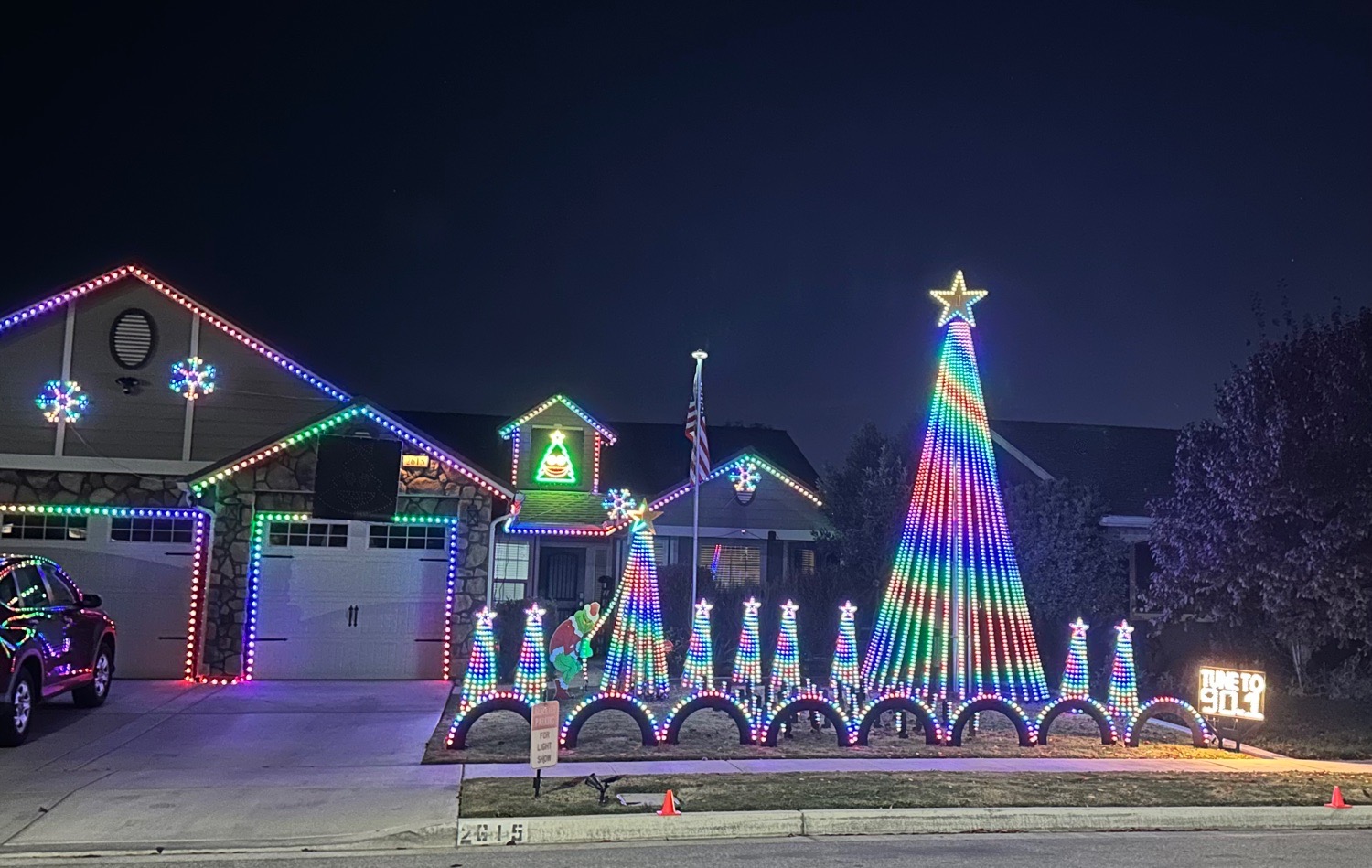 The Ramos Family Wild Lights, Christmas lights in Tulare, CA (photo 4)