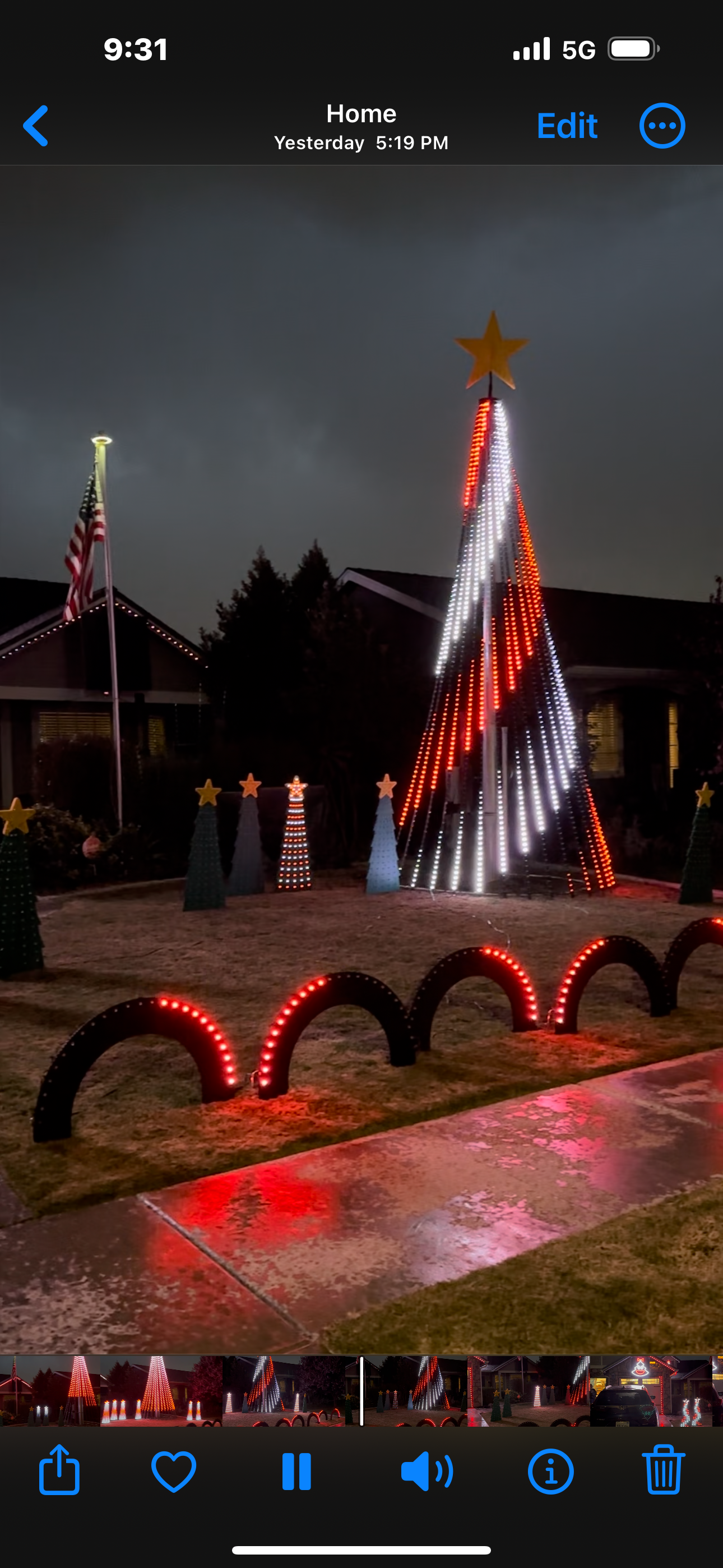 The Ramos Family Wild Lights, Christmas lights in Tulare, CA (photo 3)