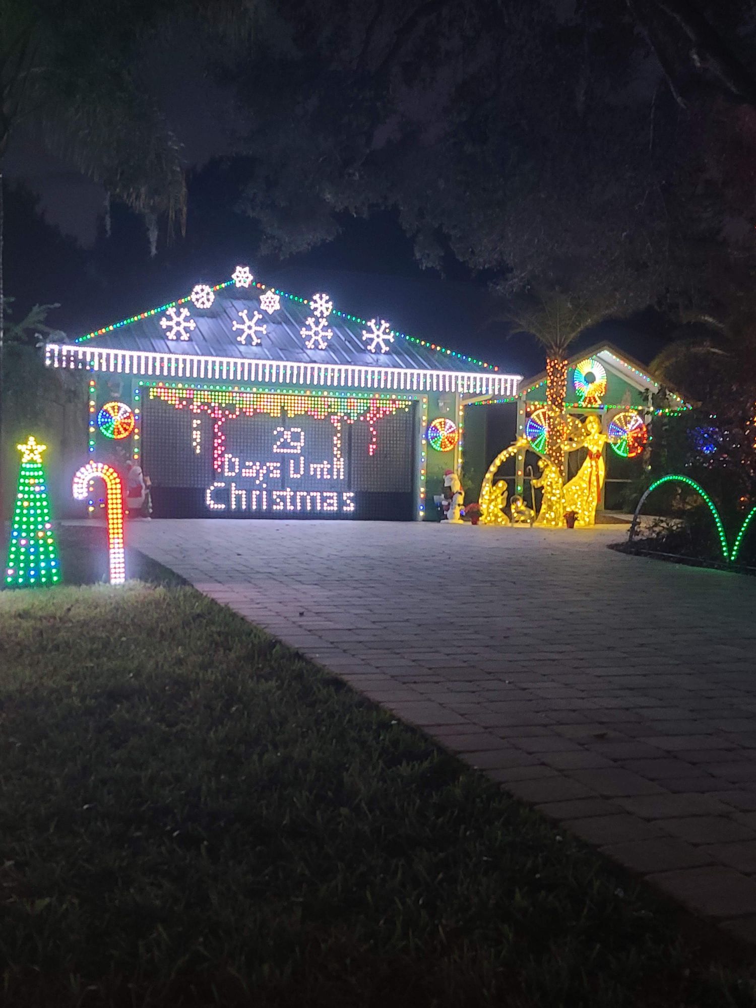Lights on Delcie, Christmas lights in St. Augustine, FL (photo 1)