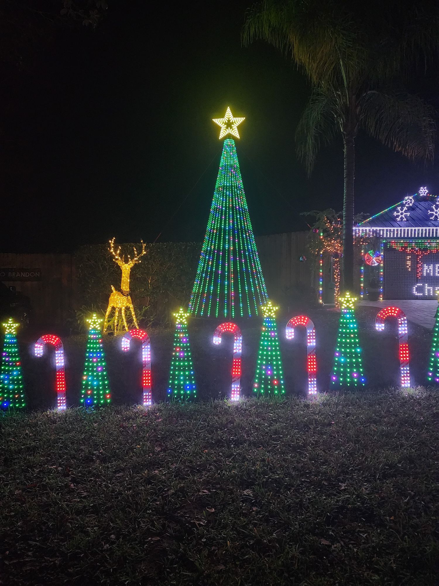 Lights on Delcie, Christmas lights in St. Augustine, FL (photo 3)