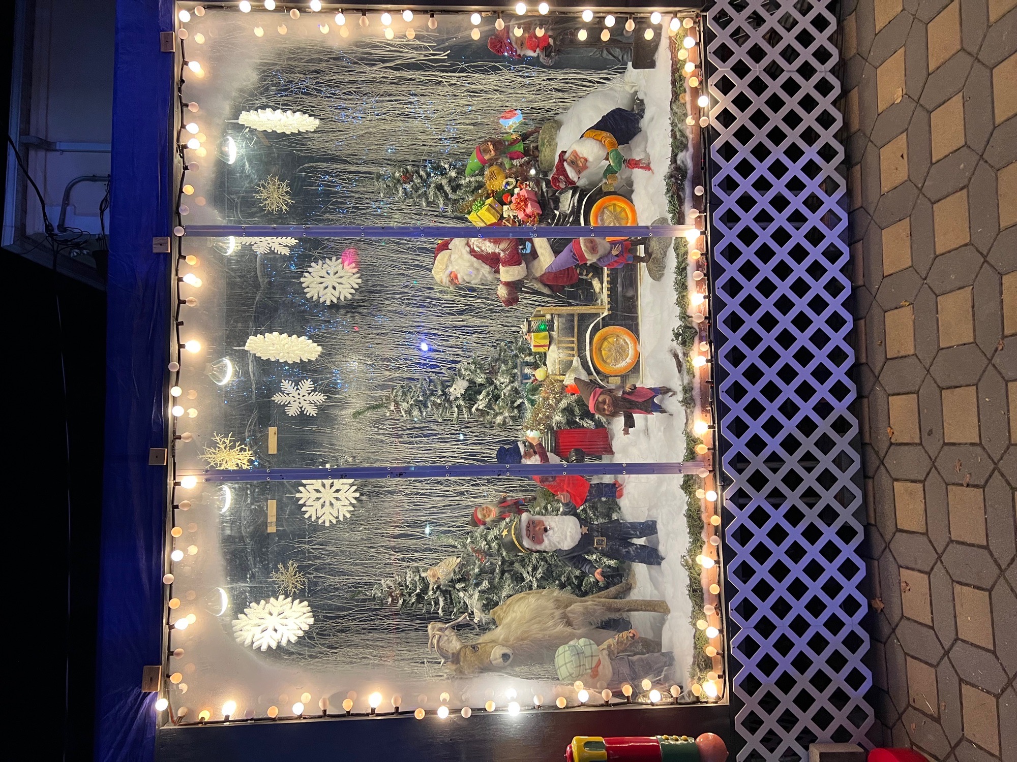Brooklyn’s Home for the Holidays, Christmas lights in Brooklyn, NY (photo 3)