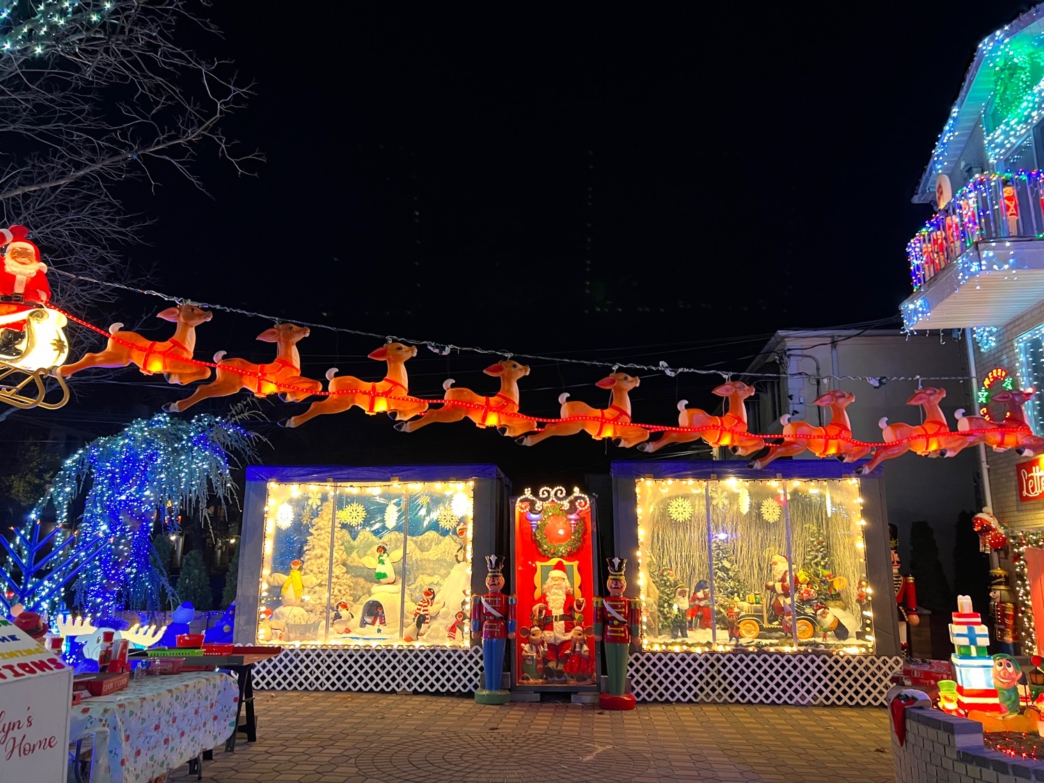 Brooklyn’s Home for the Holidays, Christmas lights in Brooklyn, NY (photo 4)