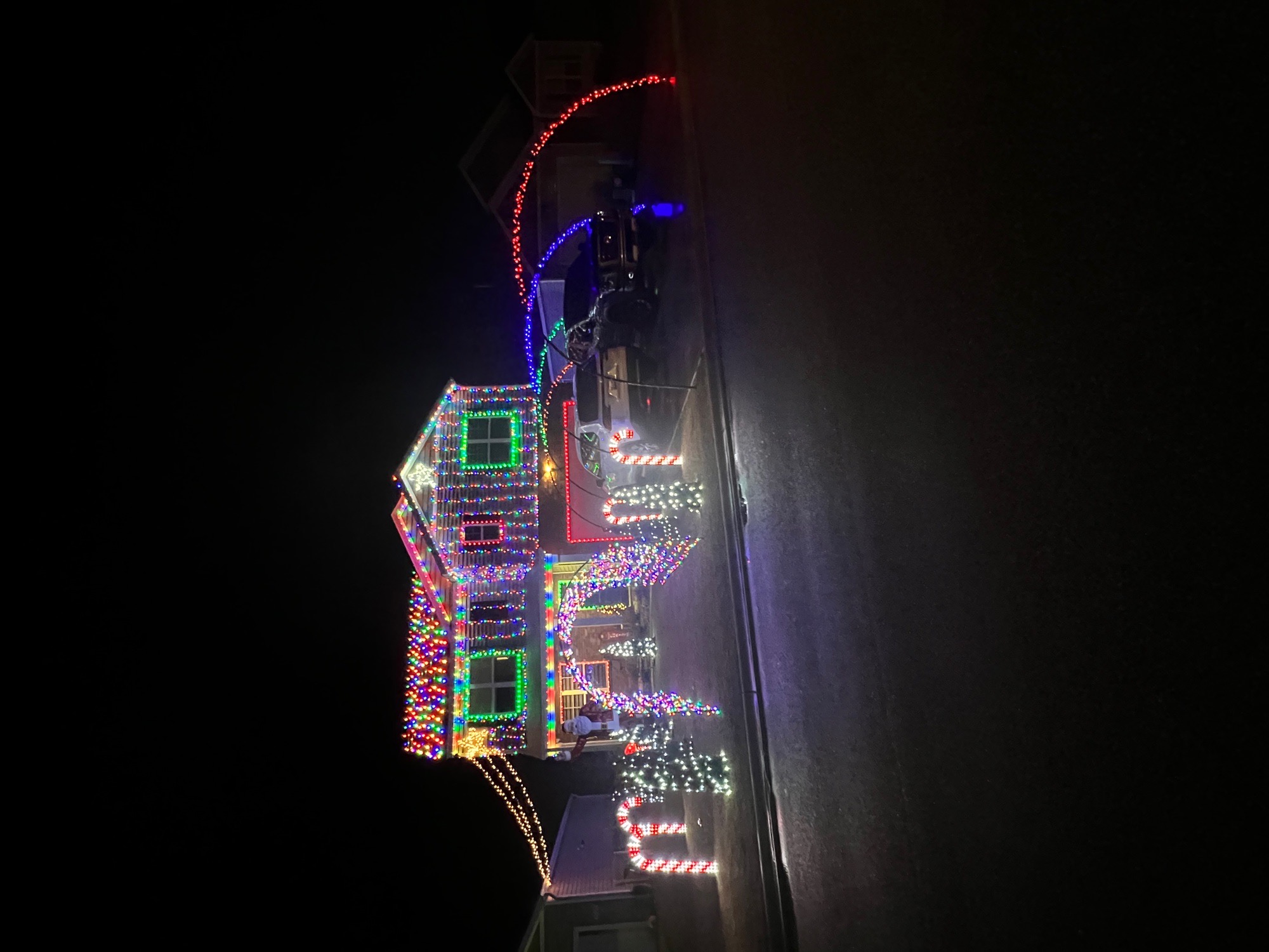 Bells Lake community, Christmas lights in Longs, SC (photo 3)