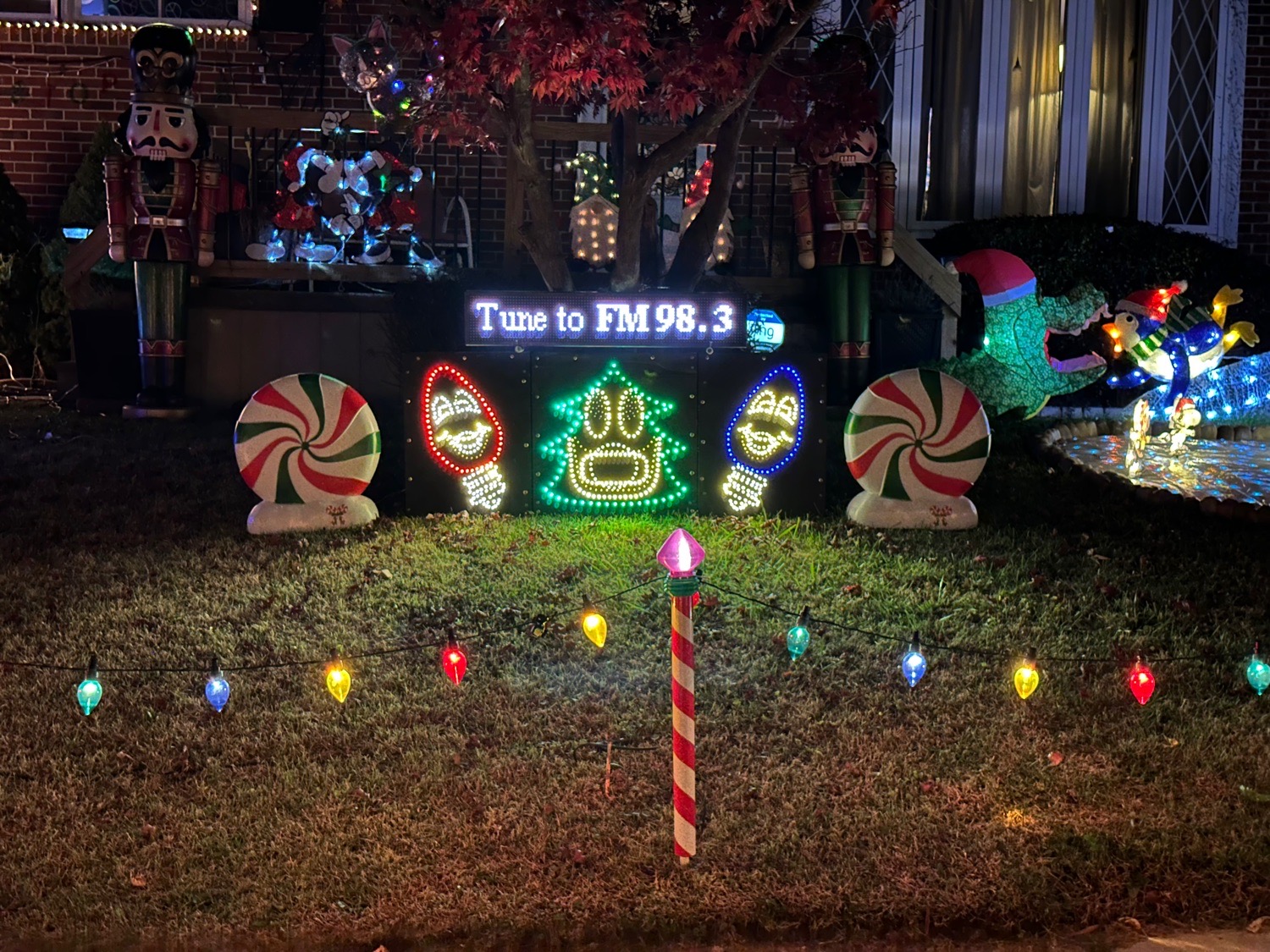 Lights On Coco, Christmas lights in Rosedale, MD (photo 3)