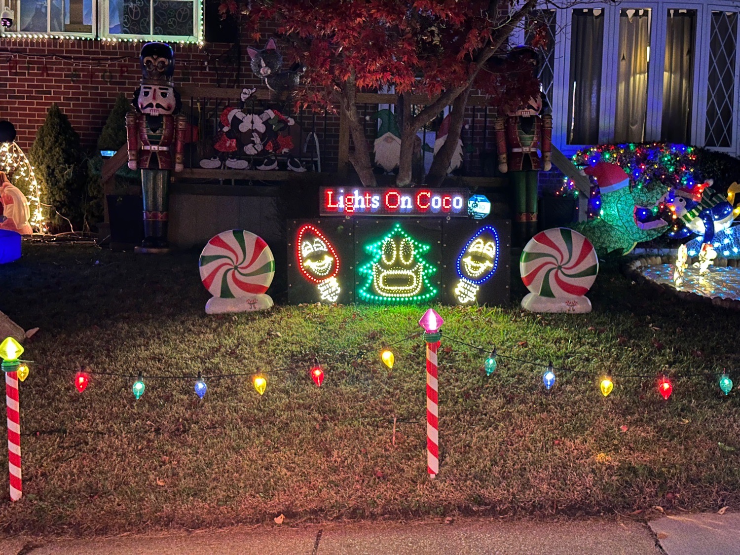 Lights On Coco, Christmas lights in Rosedale, MD (photo 4)