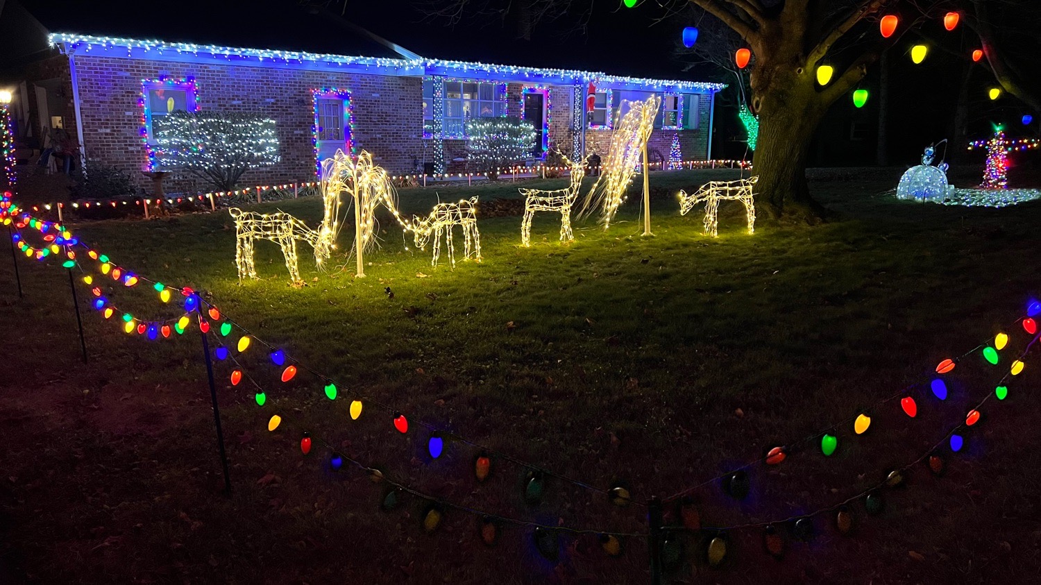 Ewell Lights (East Earl), Christmas lights in East Earl, PA (photo 3)