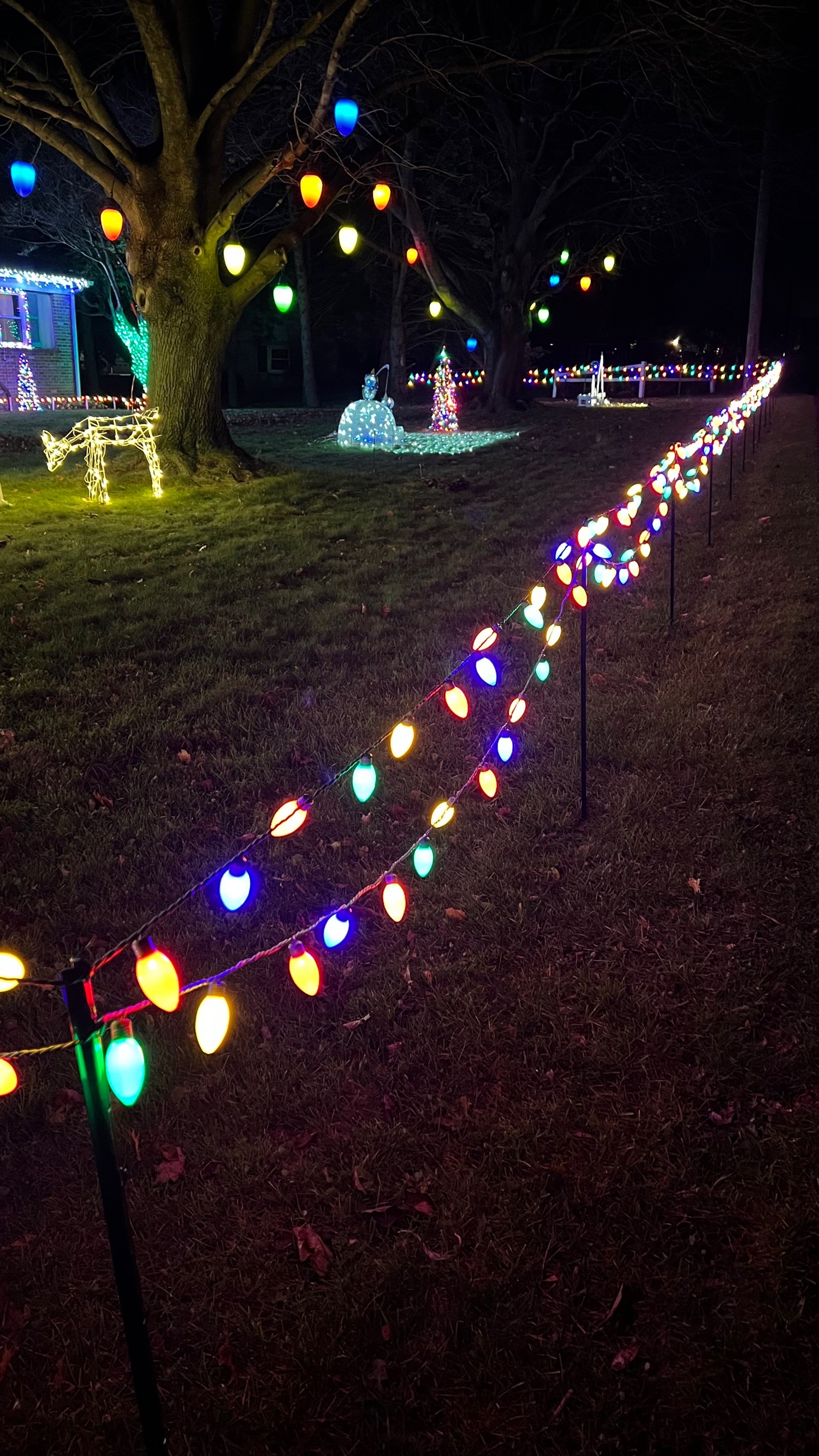 Ewell Lights (East Earl), Christmas lights in East Earl, PA (photo 4)